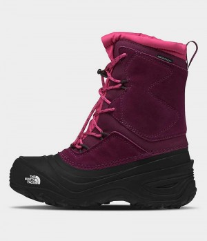 Botas de Invierno The North Face Alpenglow V Impermeables Niña Fucsia Negras | CL-VNEIY