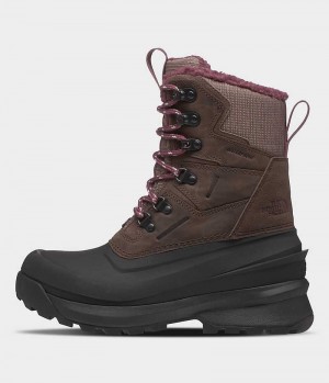 Botas de Invierno The North Face Chilkat V 400 Impermeables Mujer Marrones Negras | CL-MFLOW