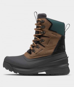 Botas de Invierno The North Face Chilkat V 400 Impermeables Hombre Marrones Negras | CHILE-XBADP