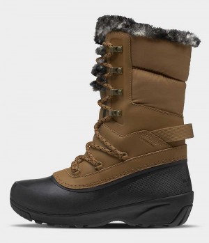 Botas de Invierno The North Face Shellista IV Luxe Impermeables Mujer Marrones Negras | CHILE-KJAMS