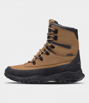 Botas de Invierno The North Face ThermoBall™ Lifty II Hombre Marrones Negras | CHILE-CBWDP