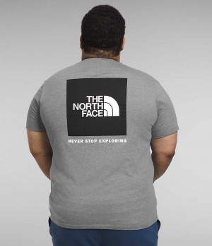 Camiseta The North Face Big Corta Sleeve Box NSE Hombre Gris | CHILE-NVQFU