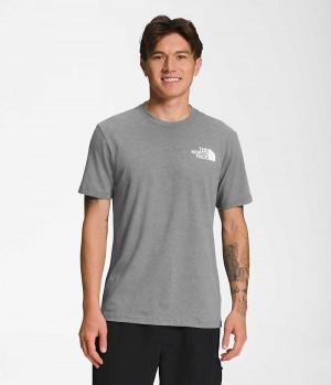 Camiseta The North Face Corta Sleeve Box NSE Hombre Gris | CL-CHNFS