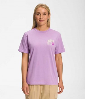 Camiseta The North Face Corta Sleeve Brand Proud Mujer Lavanda | CHILE-VJHCT