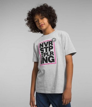 Camiseta The North Face Corta Sleeve Estampadas Niño Gris Claro | CHILE-BCMYT