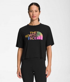 Camiseta The North Face Corta Sleeve Half Dome Crop Mujer Negras | CHILE-CMSTF