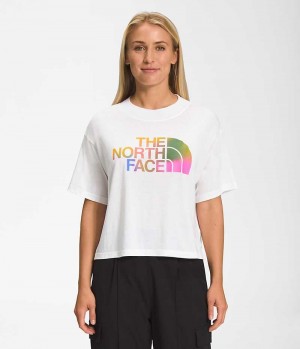 Camiseta The North Face Corta Sleeve Half Dome Crop Mujer Blancas | CL-NXBFY