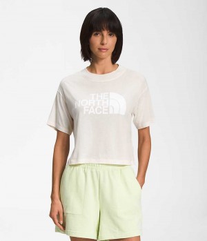 Camiseta The North Face Corta Sleeve Half Dome Crop Mujer Blancas | CHILE-SRMPZ