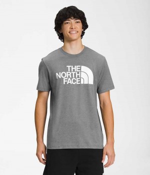 Camiseta The North Face Corta Sleeve Half Dome Hombre Gris | CL-CGTES