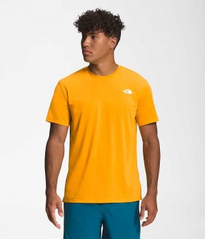 Camiseta The North Face Wander Corta Sleeve Hombre Doradas | CL-EQTDR