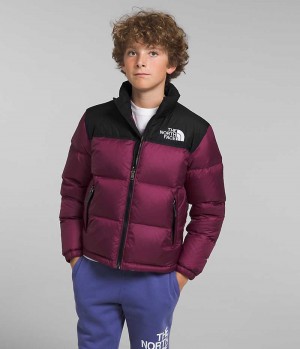 Chaqueta Plumas The North Face 1996 Retro Nuptse Niño Burdeos | CL-SYGJX