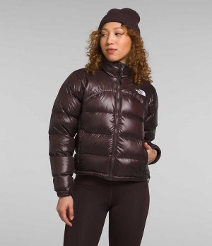 Chaqueta Plumas The North Face 2000 Retro Nuptse Mujer Marrones | CHILE-MVHNA