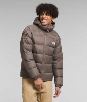 Chaqueta Plumas The North Face Hydrenalite™ Hoodie Hombre Marrones | CL-JPHEO