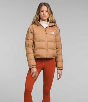 Chaqueta Plumas The North Face Hydrenalite™ Mujer Marrones | CL-KCFZW