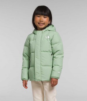 Chaqueta Plumas The North Face North Encapuchado Niña Verde Menta | CL-NMCQI