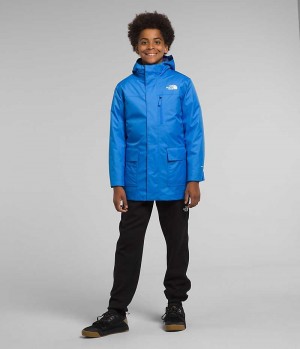 Chaqueta Plumas The North Face North Triclimate® Niño Azules | CHILE-NRUDZ