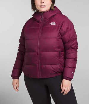 Chaqueta Plumas The North Face Plus Hydrenalite™ Hoodie Mujer Rojas | CL-YWLCK