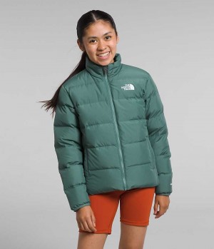 Chaqueta Plumas The North Face Reversible North Niña Verde | CL-EYVWH