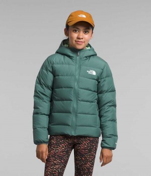 Chaqueta Plumas The North Face Reversible North Encapuchado Niña Verde | CL-SGBTR