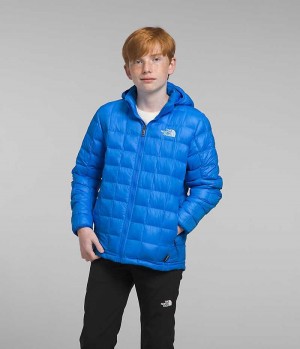 Chaqueta Plumas The North Face ThermoBall™ Encapuchado Niño Azules | CHILE-OCMWH