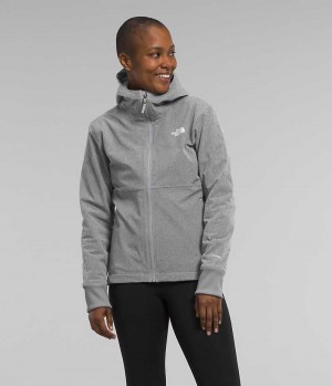 Chaqueta Softshell The North Face Shelbe Raschel Hoodie Mujer Gris | CHILE-YBJNE