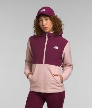 Chaqueta Softshell The North Face Shelbe Raschel Hoodie Mujer Rosas | CL-ZLWRB