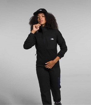 Chaquetas De Lana The North Face Canyonlands High Altitude Hoodie Mujer Negras | CHILE-FRXLS