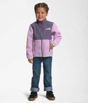 Chaquetas De Lana The North Face Denali Niña Lavanda | CL-WDRJI