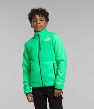 Chaquetas De Lana The North Face Denali Niño Verde | CL-ZCYFS