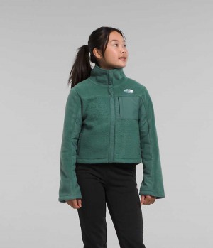 Chaquetas De Lana The North Face Fleece Mashup Niña Verde | CL-DIVWK