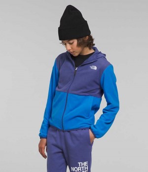 Chaquetas De Lana The North Face Glacier Full-Zip Encapuchado Niño Azules | CL-DWUCP