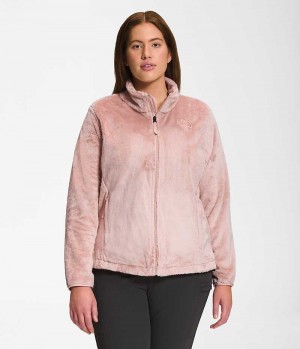 Chaquetas De Lana The North Face Plus Osito Mujer Rosas | CHILE-NUBJP