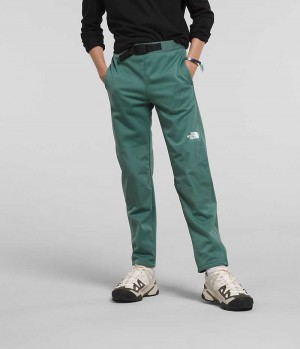 Pantalon The North Face Invierno Warm Niño Verde | CHILE-VRDHW