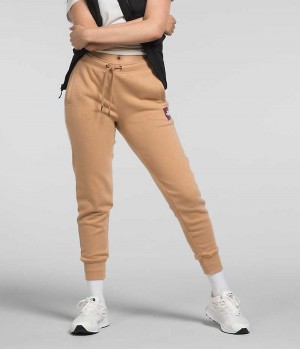 Pantalones Jogger The North Face Box NSE Mujer Kaki | CL-WMUVE