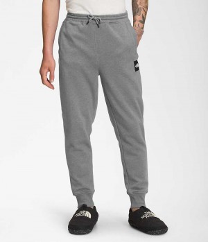 Pantalones Jogger The North Face Box NSE Hombre Gris | CL-UIJLT