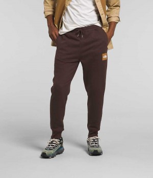 Pantalones Jogger The North Face Box NSE Hombre Marrones | CL-RWFGP