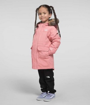 Parka The North Face Arctic Niña Rosas | CL-WBTKD