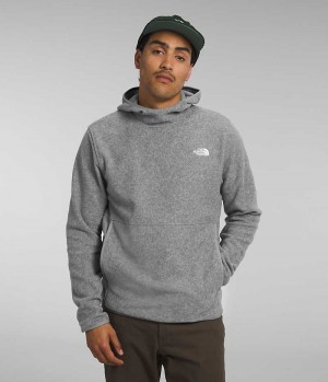 Pullover The North Face Alpine Polartec® 100 Hombre Gris | CL-CUBIE