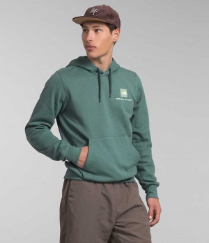 Sudadera con Capucha The North Face Box NSE Pullover Hombre Verde | CHILE-BQUJF