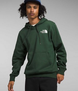 Sudadera con Capucha The North Face Box NSE Pullover Hombre Verde | CHILE-IZYEH