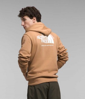 Sudadera con Capucha The North Face Box NSE Pullover Hombre Kaki | CHILE-NXEZR