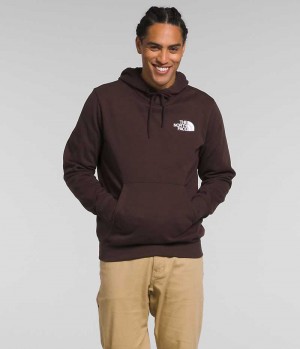 Sudadera con Capucha The North Face Box NSE Pullover Hombre Marrones | CL-XVIAK