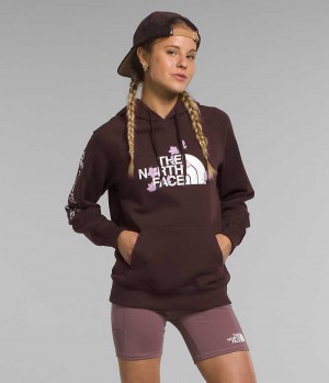 Sudadera con Capucha The North Face Brand Proud Mujer Marrones | CHILE-USMNV