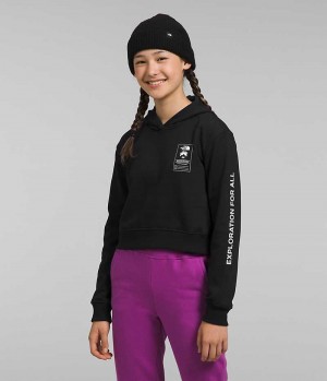 Sudadera con Capucha The North Face Camp Fleece Pullover Niña Negras | CHILE-JNQAH