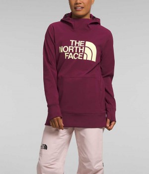 Sudadera con Capucha The North Face Tekno Pullover Mujer Fucsia | CHILE-JXBFG