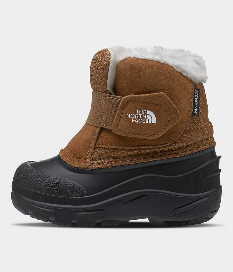 Botas de Invierno The North Face Alpenglow II Niño Marrones | CL-LOAQS