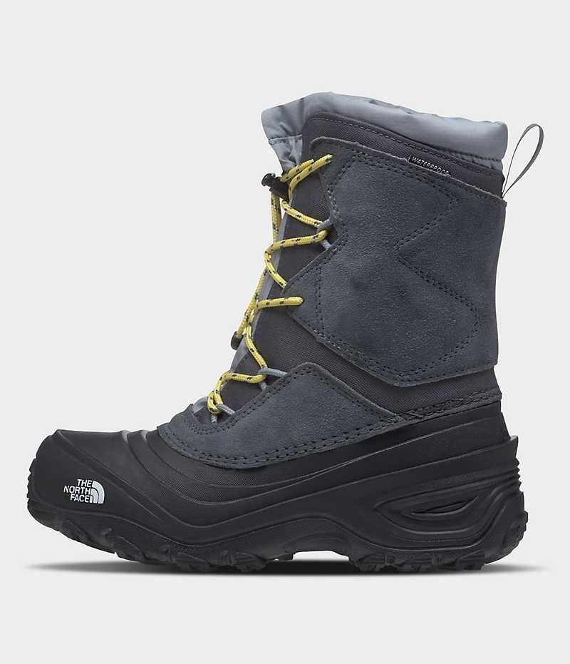 Botas de Invierno The North Face Alpenglow V Impermeables Niño Gris | CL-LAOYC