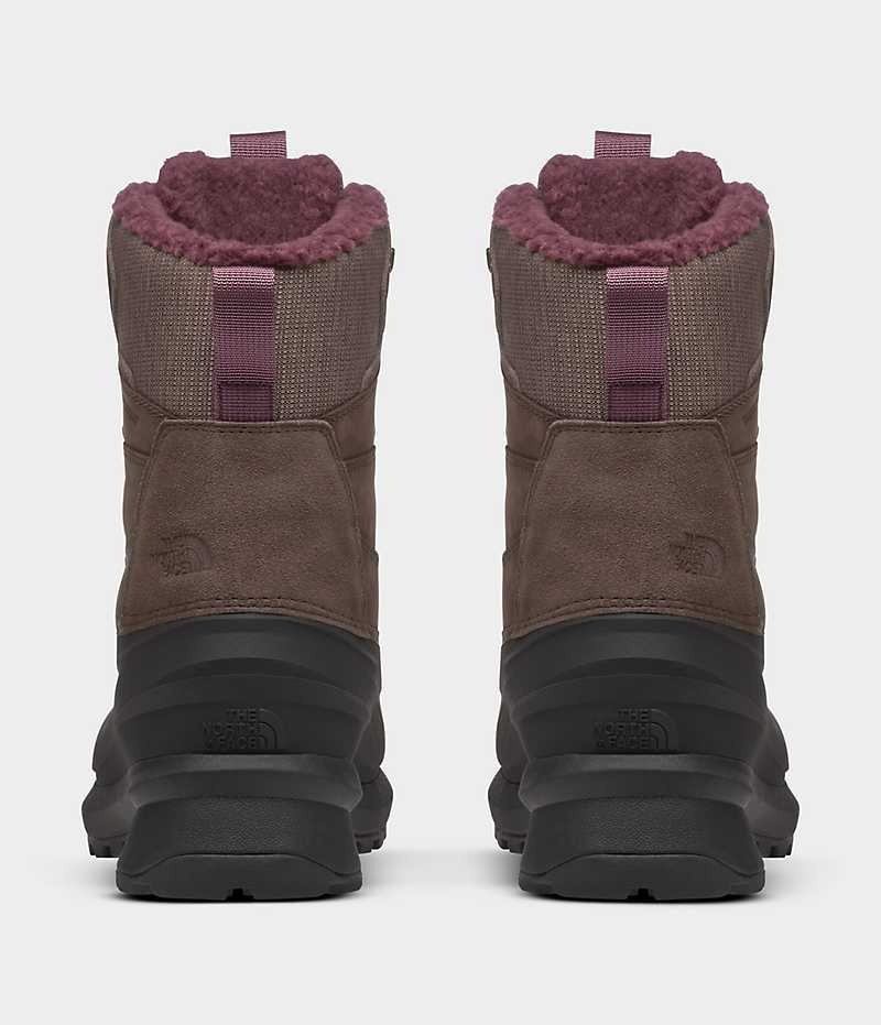 Botas de Invierno The North Face Chilkat V 400 Impermeables Mujer Marrones Negras | CL-MFLOW