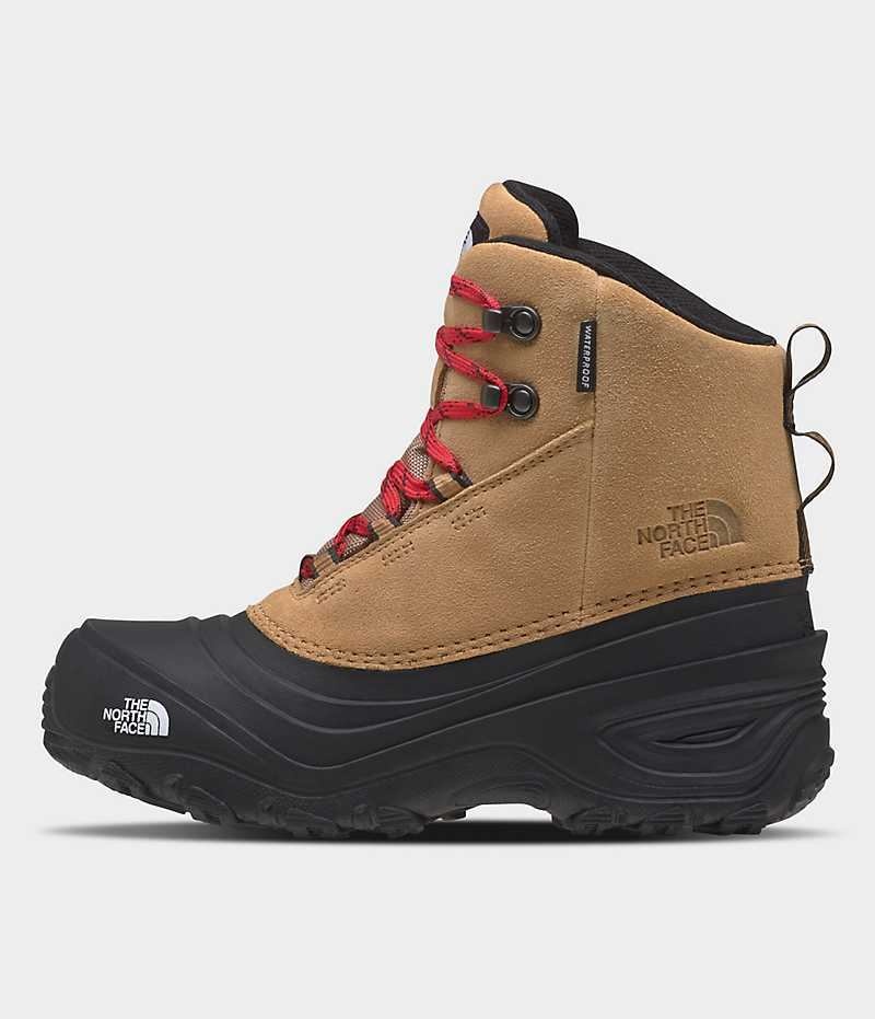 Botas de Invierno The North Face Chilkat V Encaje Impermeables Niño Marrones | CL-ZMOTH