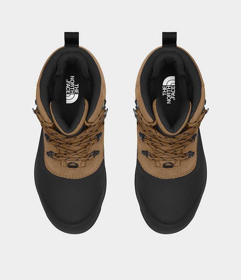 Botas de Invierno The North Face Chilkat V Encaje Impermeables Hombre Marrones Negras | CL-XZYOQ